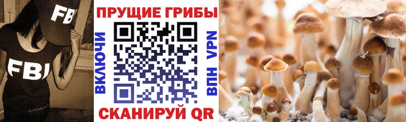 Псилоцибиновые грибы прущие грибы  закладка  Обь 